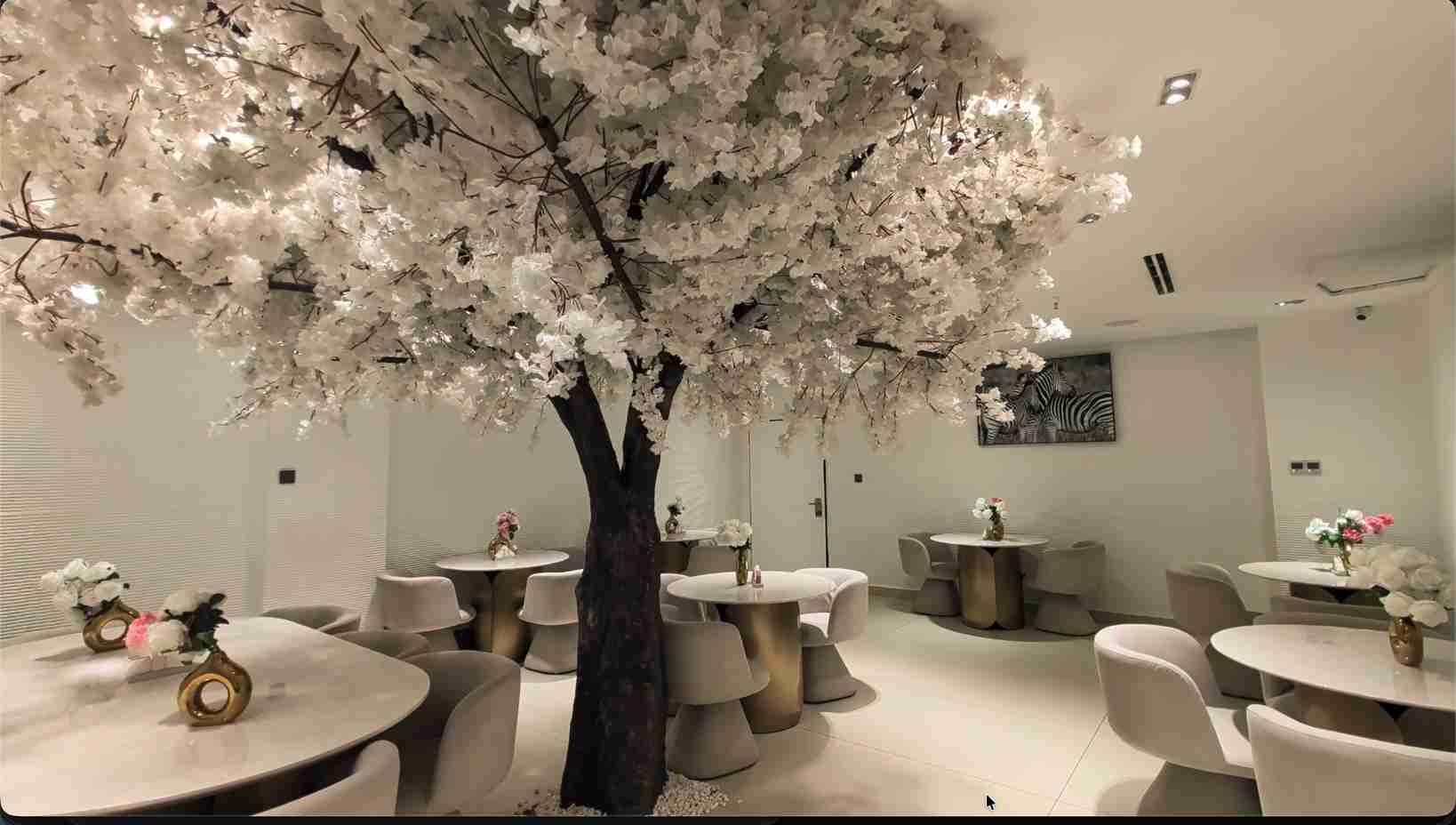 Otega restaurant experience