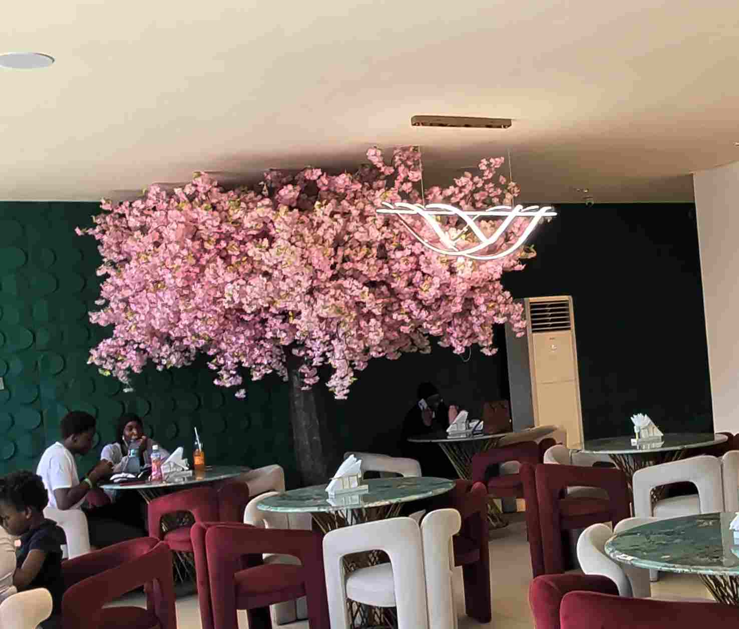 Otega restaurant experience
